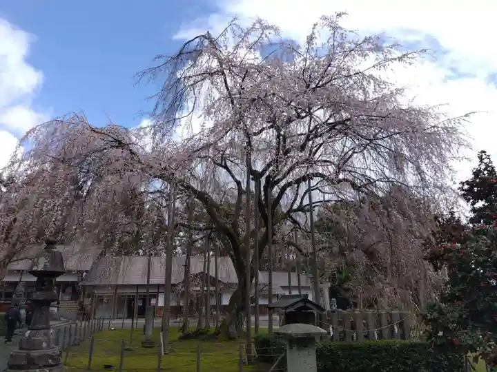 足羽神社(福井県)