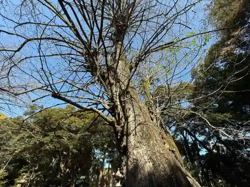 赤坂氷川神社(東京都)