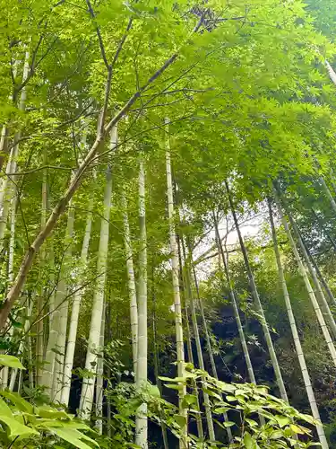 明月院(神奈川県)