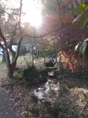 奥石神社(滋賀県)