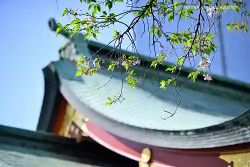 日枝神社の自然