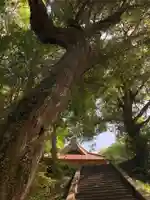 高谷神社の自然