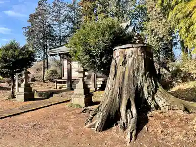 天満宮(栃木県)