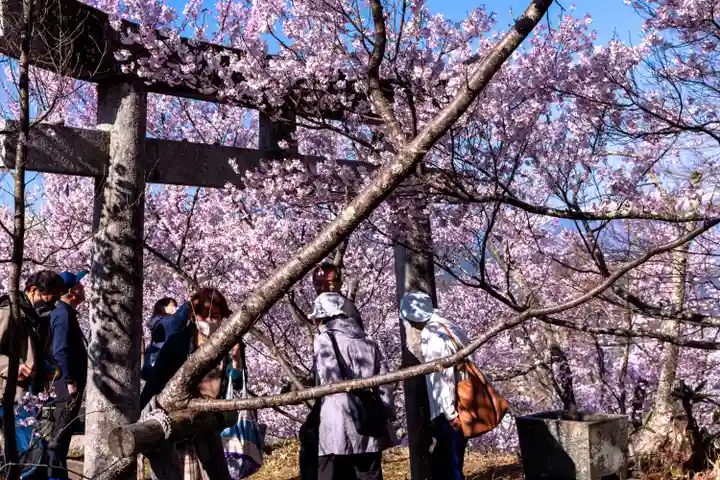 新城藤原神社(長野県)