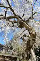 能満寺のその他建物