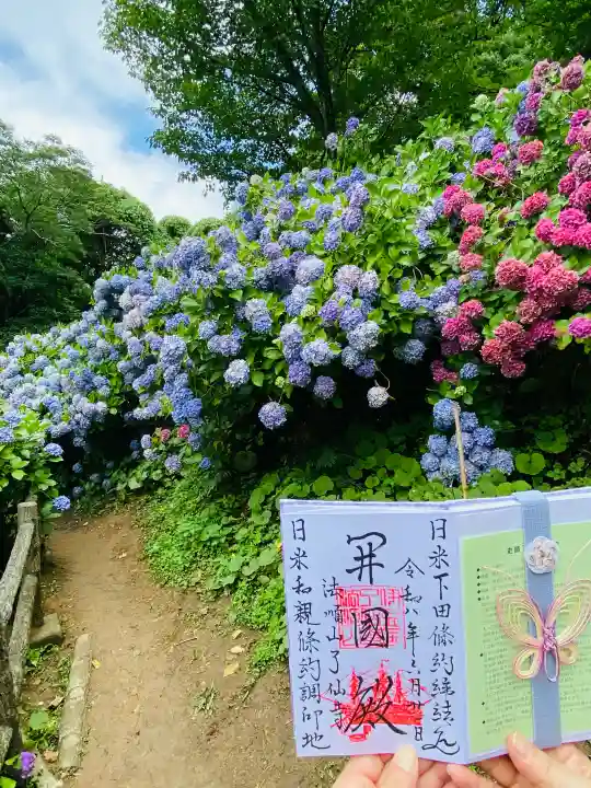 了仙寺(静岡県)