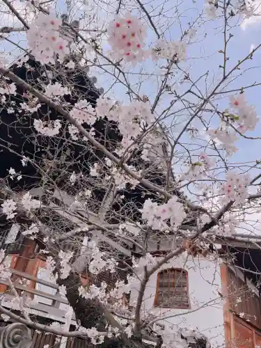 葛井寺の{uncategorized: "未分類", other: "その他", undefined: "問題あり", building: "その他建物", grave: "お墓", sacred_gate: "鳥居", guardian: "狛犬", statue: "像", buddha: "仏像", history: "歴史", nature: "自然", garden: "庭園", animal: "動物", pagoda: "塔", temizu: "手水舎", mountain_gate: "山門・神門", sanctuary: "本殿・本堂", subordinate: "末社・摂社", art: "芸術", scenery: "景色", jizo: "地蔵", ema: "絵馬", goshuin: "御朱印", omikuji: "おみくじ", items: "授与品その他", amulet: "お守り", goshuincho: "御朱印帳", eats: "食事", festival: "お祭り", votive_dance: "神楽", shichigosan: "七五三参", wedding: "結婚式", experience: "体験その他", initially: "初詣", around: "周辺", anti_infection: "感染症対策"}