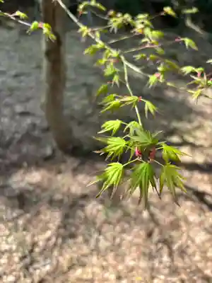 高源寺(兵庫県)