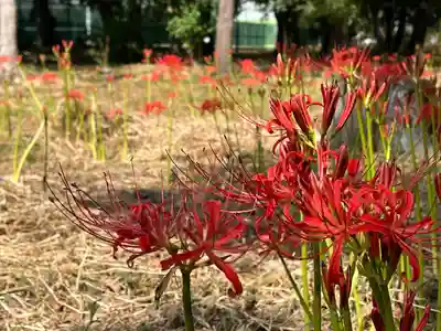 若宮八幡宮(京都府)