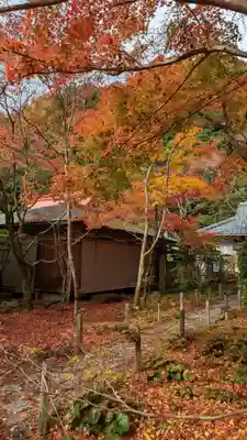 蓮華寺（洛北蓮華寺）(京都府)