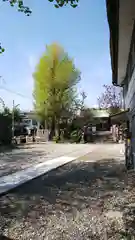 吾妻神社の建物その他