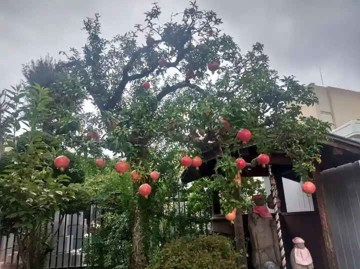 龍泉院(東京都)