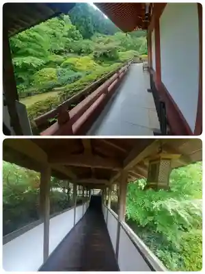 久安寺(大阪府)