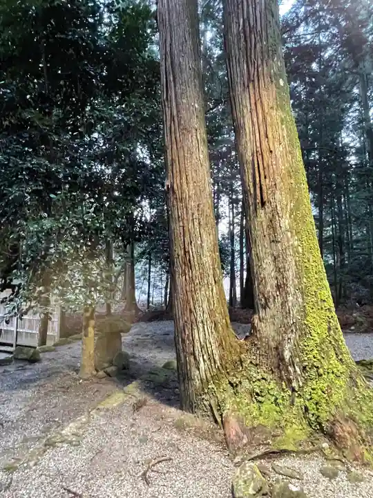 室生龍穴神社の自然