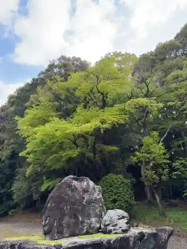 猿田彦神社の{uncategorized: "未分類", other: "その他", undefined: "問題あり", building: "その他建物", grave: "お墓", sacred_gate: "鳥居", guardian: "狛犬", statue: "像", buddha: "仏像", history: "歴史", nature: "自然", garden: "庭園", animal: "動物", pagoda: "塔", temizu: "手水舎", mountain_gate: "山門・神門", sanctuary: "本殿・本堂", subordinate: "末社・摂社", art: "芸術", scenery: "景色", jizo: "地蔵", ema: "絵馬", goshuin: "御朱印", omikuji: "おみくじ", items: "授与品その他", amulet: "お守り", goshuincho: "御朱印帳", eats: "食事", festival: "お祭り", votive_dance: "神楽", shichigosan: "七五三参", wedding: "結婚式", experience: "体験その他", initially: "初詣", around: "周辺", anti_infection: "感染症対策"}
