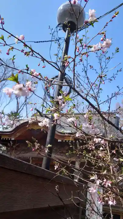 相馬神社(北海道)