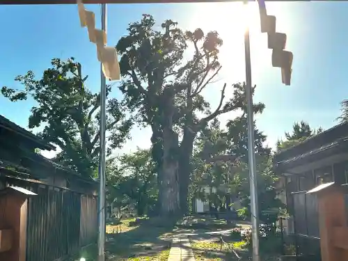 木留神社のその他建物