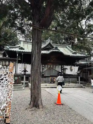 調神社(埼玉県)