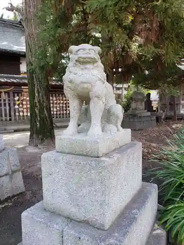 二日市八幡宮の狛犬