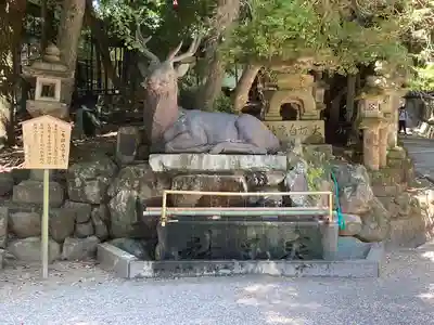 春日大社(奈良県)