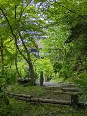 清水寺(京都府)