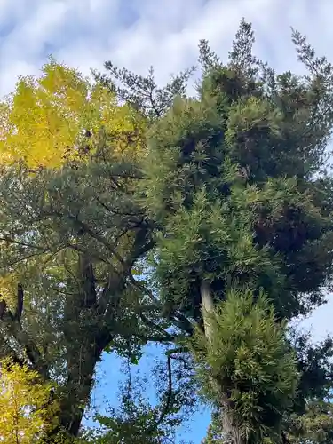 筑波山神社(茨城県)