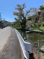 弁財天(下出縄)(神奈川県)