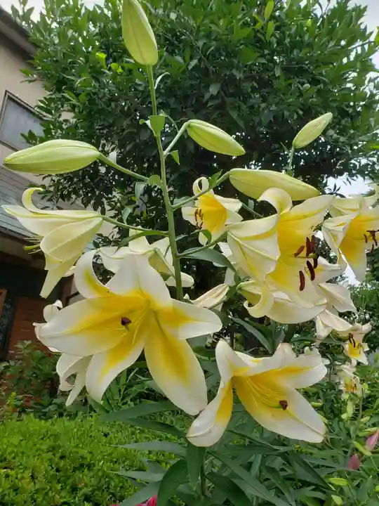 本郷氷川神社(東京都)