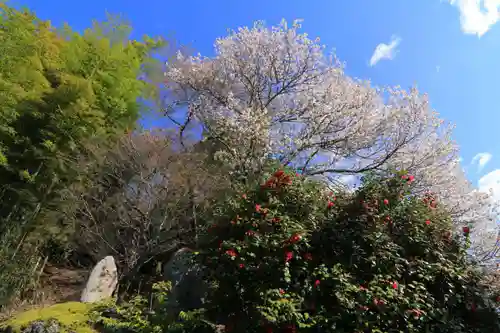 見渡神社の庭園