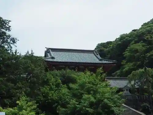 鶴岡八幡宮の景色