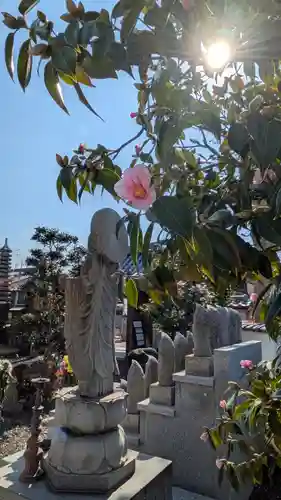 大松禅寺(京都府)
