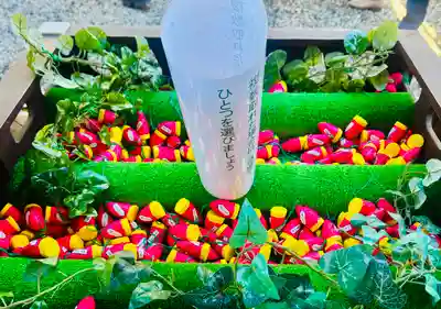 川越氷川神社(埼玉県)