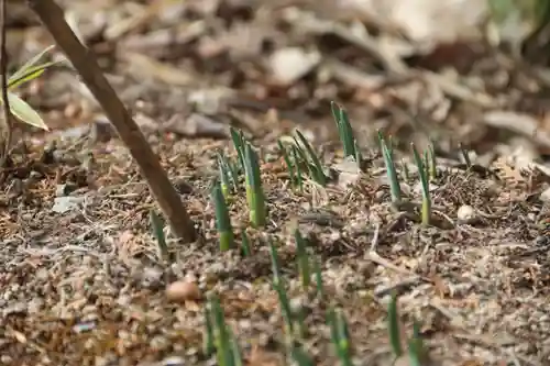 大六天麻王神社(福島県)