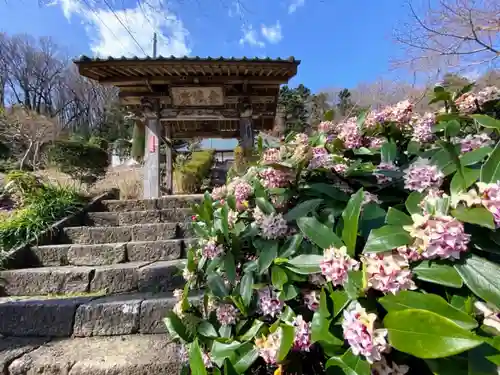 玉巌寺の山門