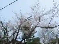 妙劍神社の自然