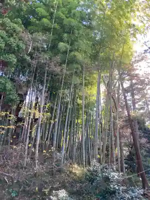 円覚寺(神奈川県)