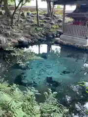 泉神社(茨城県)