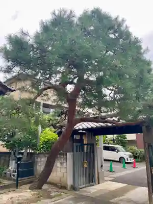 萬福寺(埼玉県)