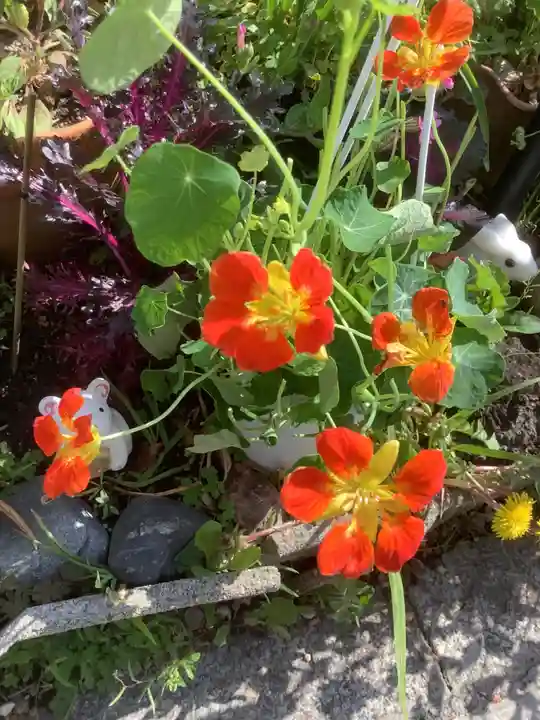 三輪神社の自然
