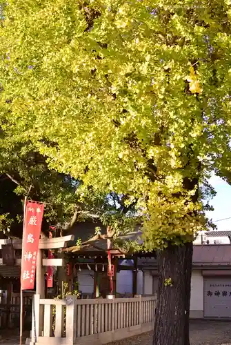 尾久八幡神社(東京都)