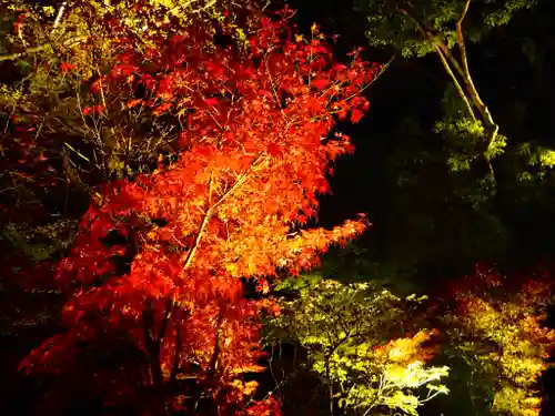 白水阿弥陀堂の自然