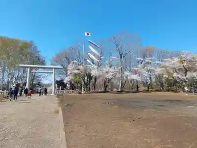岩内神社(北海道)