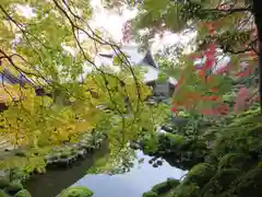 當麻寺の庭園