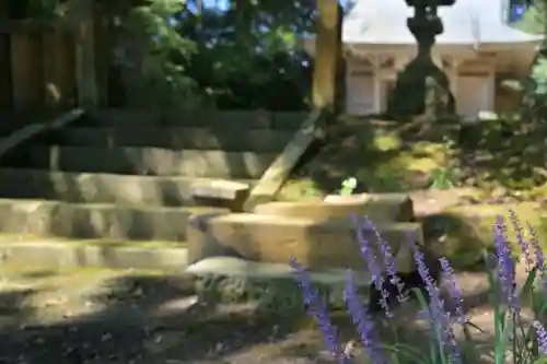 宇奈具志神社(新潟県)