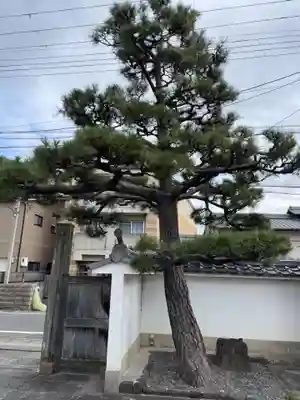 地蔵寺（桂地蔵寺）(京都府)