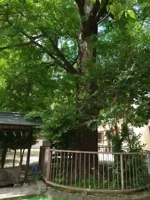 子之神社(神奈川県)