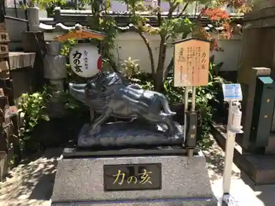 摩利支天 徳大寺の狛犬