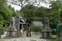 大窪寺の狛犬