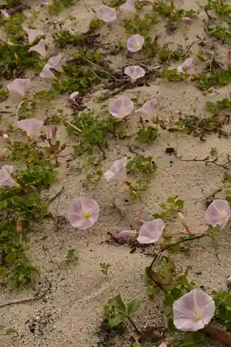 鹿島神社(愛媛県)
