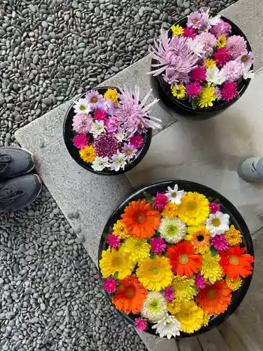 菅生神社の自然